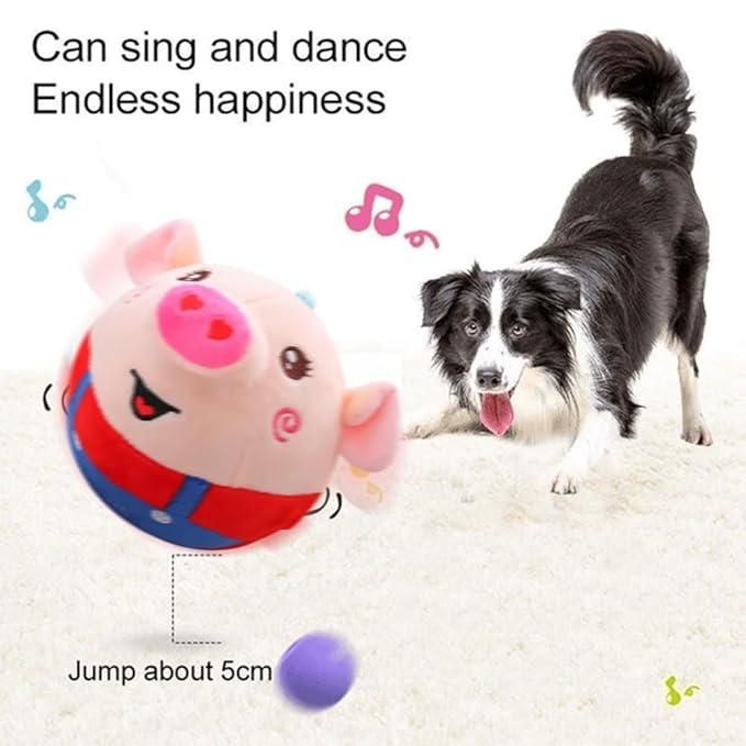 Dancing Piggy Ball Toy